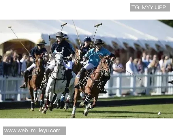 多威足球鞋助力运动员提升竞技水平与场上表现的完美选择 多威足球鞋助力运动员提升竞技水平与场上表现的完美选择