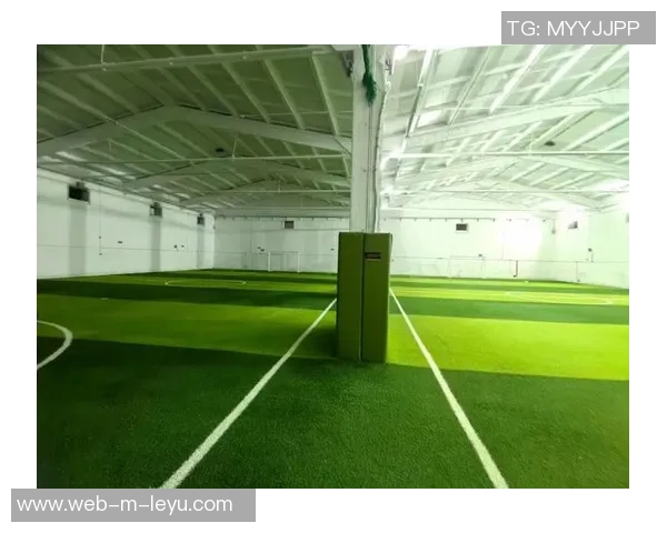 室内足球草坪的选择与维护技巧助你提升比赛体验与场地使用寿命 室内足球草坪的选择与维护技巧助你提升比赛体验与场地使用寿命