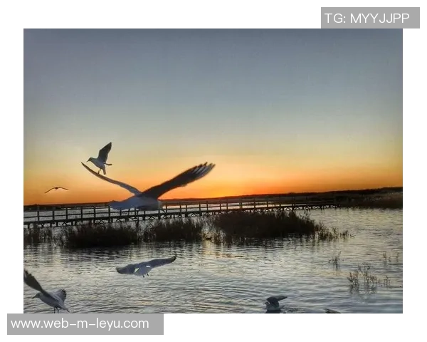 足球小将片桐的成长之路与梦想追逐的精彩故事