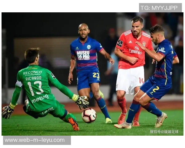 足球最低消费揭秘如何在享受比赛的同时控制开支